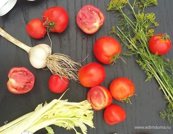 Приготовим все необходимые продукты: небольшые неповрежденные томаты, свежий укроп «прямо с грядки», сельдерей, чеснок, лавровый лист, черный перец, соль и сахар. Совсем немного ингредиентов для такого вкусного результата!