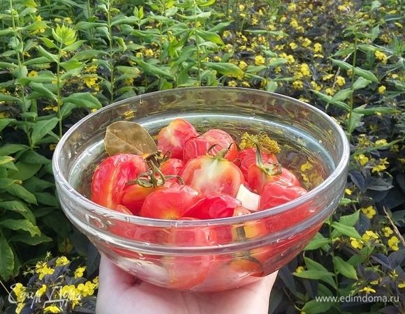 Заливаем кипящим маринадом томаты, прикрываем крышкой. Оставляем на пару часов, чтоб маринад полностью остыл. Можно уложить томаты с травами в стерилизованную банку, залить горячим маринадом и закатать. Кстати, если у вас остался маринад, можно его еще раз вскипятить, добавить ложку уксуса и использовать повторно. Отлично в нем замаринуются молодые кабачки.