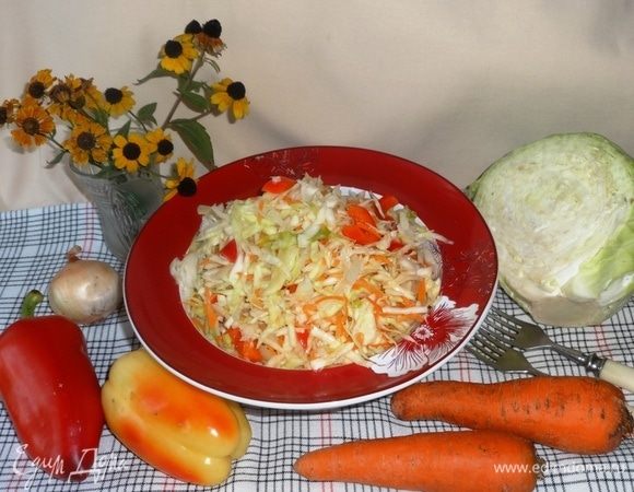 Готовую капусту выложить в салатник. Подавать к мясным или рыбным блюдам, к отварной или жареной картошке. Угощайтесь. Приятного аппетита!