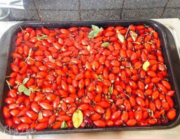 Тщательно перебрать весь шиповник, помыть. Использовать только свежие ягоды, так как поврежденные не годятся.