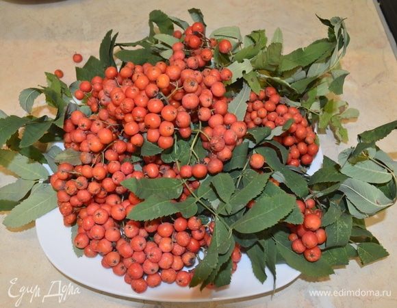 Перед началом работы нужно рябину (3 веточки) промыть, высушить, положить в пакет и оправить в морозилку на 30 минут, чтобы убрать горечь.