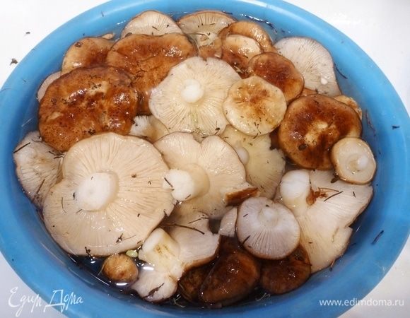 Отправляем собранный урожай в таз.