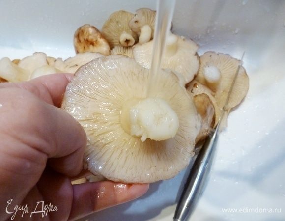 Промываем грибы под струей воды, чтобы песок и другая грязь не попали впоследствии к нам на стол.