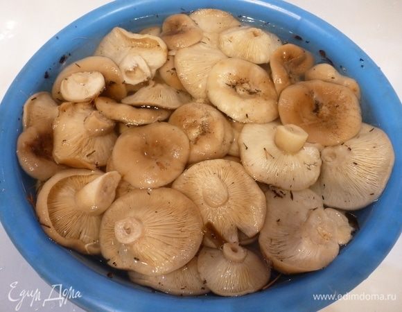 Грузди замочить в воде, чтобы отлипли иголки и листики.