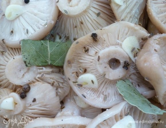 Грузди засыпать солью и специями и оставить на полчаса. Поставить небольшой гнет в виде банки с водой. Сразу тяжелый груз ставить не надо, можно поломать грибочки, а через несколько часов можно немного увеличить. Грузди дадут много сока, так что доливать воды не придется.