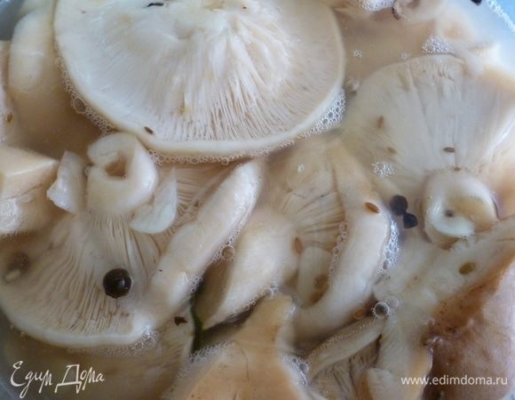 Оставить при комнатной температуре на 1–3 дня. Начнет образовываться молочная кислота, начнется брожение, и на поверхности рассола появятся маленькие пузырьки. Не волнуйтесь, грузди не испортились, это такой же процесс, как и при брожении капусты при засолке.