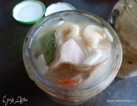 Раскладываем грибы поплотнее по банкам, зальем рассолом и закроем крышками, но не плотно, так как идет процесс брожения. Для пикантности можно добавить колечко острого перца чили. Поставить банки в холодильник (или погреб) для созревания. Так как мы солим грузди, не отваривая (холодным способом), то готовы они будут только через 1–1,5 месяца. Так что наберитесь терпения!