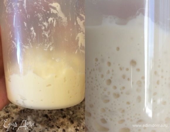 Опара. В контейнере или миске смешать дрожжи, воду, соль, муку. Массу хорошо перемешать, накрыть и оставить при комнатной температуре на 2 часа. Спустя 2 часа перемешать и отправить в холодильник на 48 часов. На втором фото мой притвор спустя 48 часов.