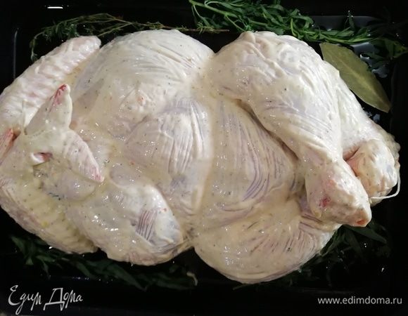 Хорошо смазываем курочку со всех сторон. Не забудьте промазать под крылышками и ножками. Укладываем курицу на противень. Для аромата я положила на противень лавровый лист и тархун.