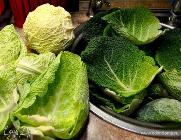 С кочана савойской капусты снимаем листья, срезаем выступающую жилку по центру листа.