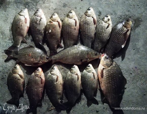 Для начала нужно поймать рыбу или, в крайнем случае, купить на рынке или в магазине. Это наш с мужем улов. Фото сделано на улице поздно вечером.