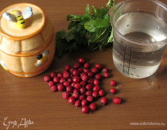 Подготовим продукты — боярышник, мяту, мед и воду.