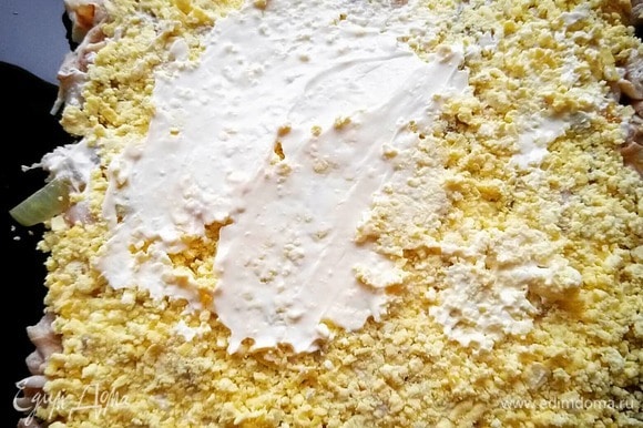 Далее выкладываем слой яичного желтка, солим. Сверху выкладываем слой майонеза.