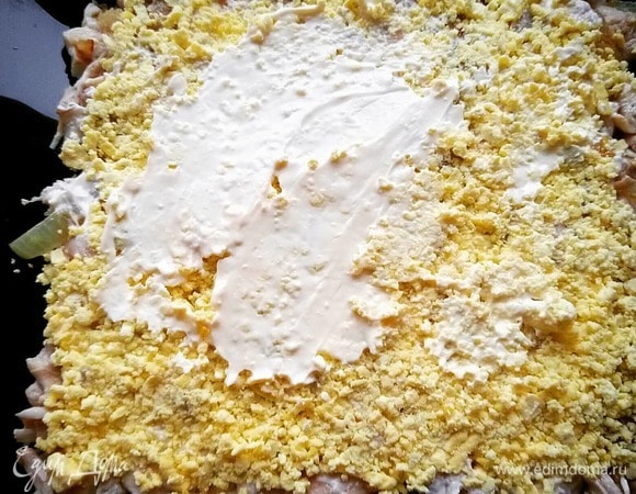 Далее выкладываем слой яичного желтка, солим. Сверху выкладываем слой майонеза.