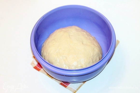 Собираем тесто в ком. Смазываем чистую миску растительным маслом (0,5 ст. л.) и кладем тесто, проворачиваем его так, чтобы тесто смазалось маслом. Накрываем миску с тестом пленкой и убираем в теплое место для подъема в 2,5 раза. Если нет времени готовить, тогда накрытое тесто держите минут 20 на столе, а затем убираете в холодильник, а утром даете тесту прогреться минут 30 и начинаете готовить пироги. У меня как раз «ночное» тесто.