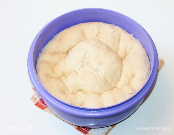 Подошедшее тесто обминаем и даем ему минут 30 немного подняться (в это время тесто должно быть накрыто пленкой или прозрачным пакетом).