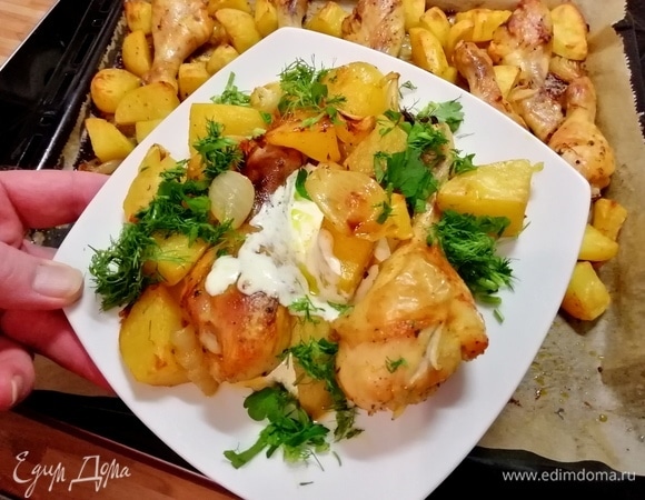 Подаем с йогуртовым соусом и свежей зеленью (у меня традиционно петрушка и укроп).