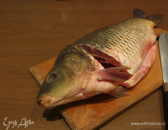 Срежем голову. Плавники сохраняем на голове.