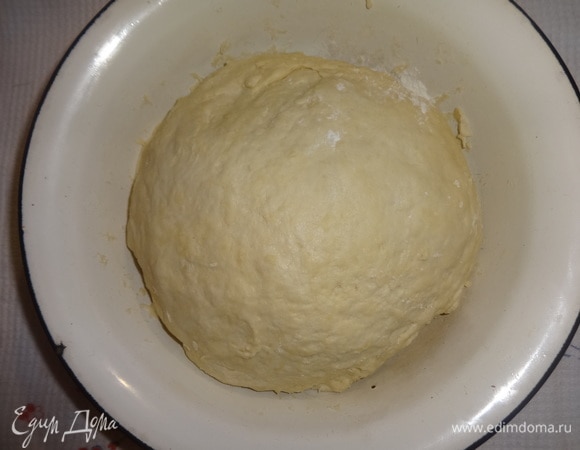 Тесто вымесить до гладкости и поставить на холод на 1–2 часа, или на ночь, накрыв пищевой пленкой.