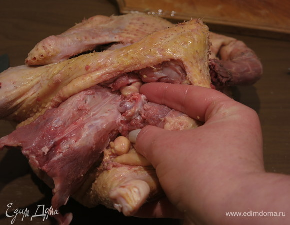 Доходим до лап: поворачиваем лапу несколько раз, нащупываем место сочленения и с помощью ножа очищаем и перерезаем жилы.