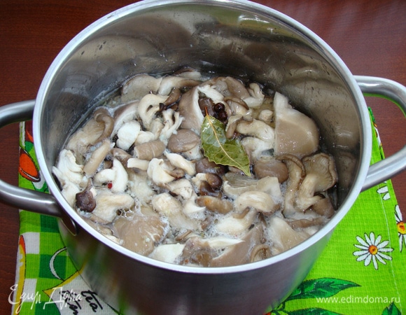 Вот так грибы «осели» после закипания. Довести грибы до кипения и проварить минут 10–15 на среднем огне. Вот и все, наши вешенки готовы. Теперь их можно процедить, добавить нашинкованный кольцами лук и слегка полить растительным маслом.