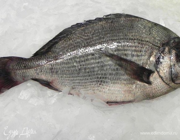 Рыбу выбираю очень свежую, от этого зависит вкус блюда. Охлаждаю. При помощи острого тонкого ножа разрезаю рыбу вдоль хребта, очищаю от кожи. Получается красивое филе. Можно купить готовое филе, но нужно быть уверенным в его свежести.