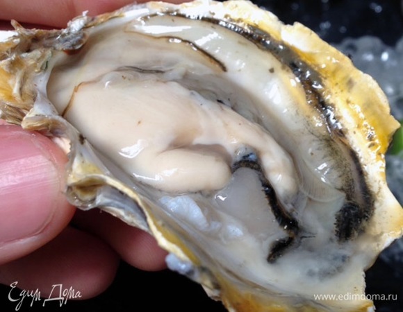 Устрицу отделяю от раковины, чтобы она не приставала. Сбрызгиваю оставшимся лимонным соком. Варианта дальнейших событий два: если вы любите устрицы, оставляем устрицу и сверху кладем тартар. Или убираем устрицу и выкладываем тартар просто в устричные раковины.