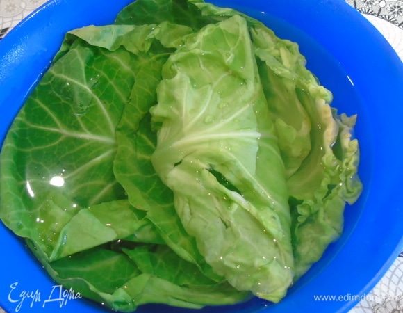 Листья отобрать, промыть и залить кипятком на 3–4 минуты. Выложить на бумажное полотенце и дать обсохнуть.