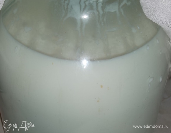 Подготовить ультрапастеризованное молоко и кефир. Перелить все в трехлитровую банку или кастрюлю. Хорошо перемешать молоко с кефиром.