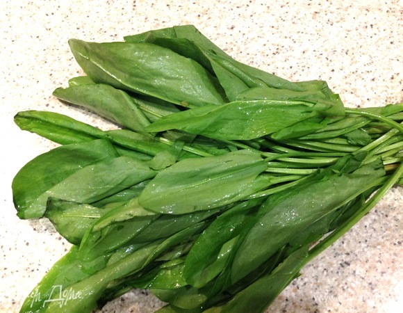 Мою, нарезаю щавель, петрушку, зеленый лук.