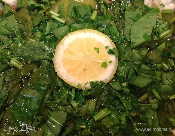 Открываю крышку, бросаю щавель, петрушку, лук, сахар, дольки лимона. Не перемешиваю! Даю настояться минут 15–20. Подавать можно с гренками, крутонами с чесноком или сметаной. Приятного аппетита!