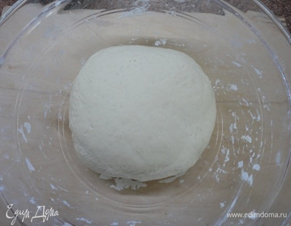 Отдохнувшее тесто хорошо вымесите минут 10, и оно станет гладким. Опять накрываем и оставляем в теплом месте на 1,5–2 часа.