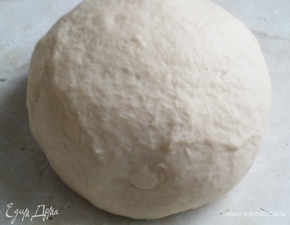 Замесить тесто. Яйцо смешать с солью, сахаром, водой и молоком. Добавить дрожжи и просеянную муку. Влить растительное масло. Тесто хорошо замесить. Убрать под пленку в теплое место для подъема. Минут через 20 тесто обмять и оставить доходить еще минут на 40.