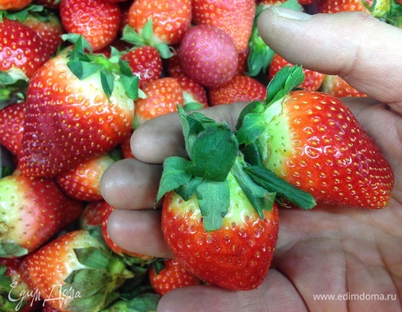 Беру хорошую свежую ароматную клубнику. Мою. В морозилку кладу тарелку, на которую буду выкладывать клубнику в шоколаде.