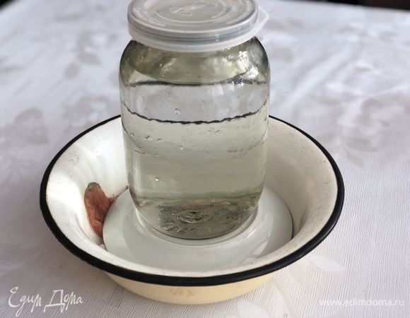 Накрываем тарелкой и сверху ставим гнет. Отправляем рыбу в прохладное место на сутки.