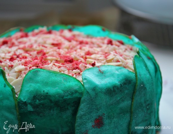 Украсили сублимированной клубникой, а кончики слайсов уложили на торт.