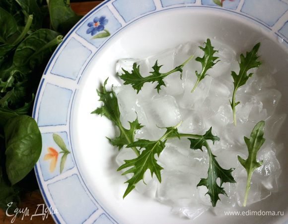 Поместить кусочки льда в глубокую тарелку, положить на лед несколько веточек зелени (у меня мицуна), залить ледяной питьевой водой, сверху поместить другую тарелку меньшего размера. Отправить в морозильную камеру на несколько часов, пока лед не застынет.