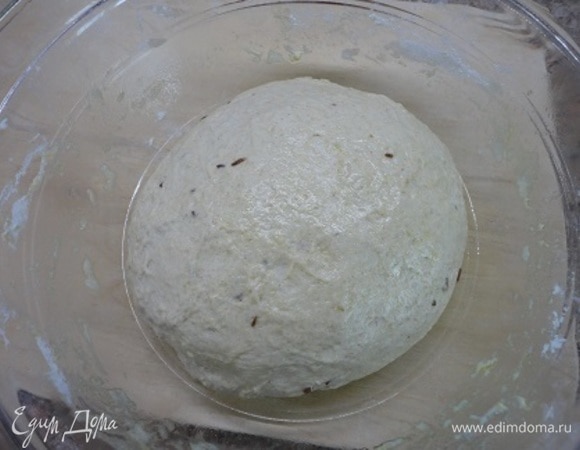 Два вида муки просеять отдельно. В жидкость всыпать цельнозерновую и размешать ложкой. Влить уксус. Затем частями подмешать пшеничную муку и замесить тесто. Месить долго и тщательно, пока тесто не будет отставать от рук. Смажьте растительным маслом и оставьте в теплом месте.