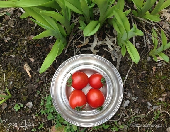 Взять хорошие помидорки черри, нарезать кружочками.