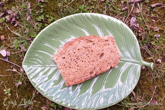 Кусок ржаного хлеба можно поджарить в духовке или тостере.