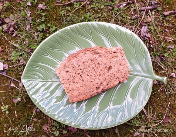 Кусок ржаного хлеба можно поджарить в духовке или тостере.