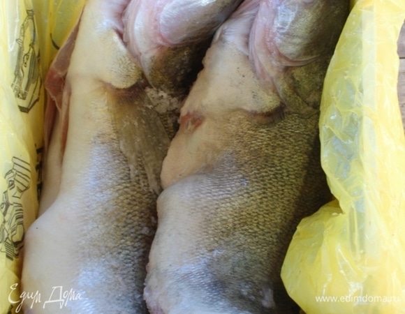 Я держал рыб в солевом плену примерно часов двенадцать.