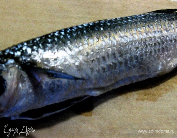 Кефаль лучше свежую или охлажденную, моем проточной водой.