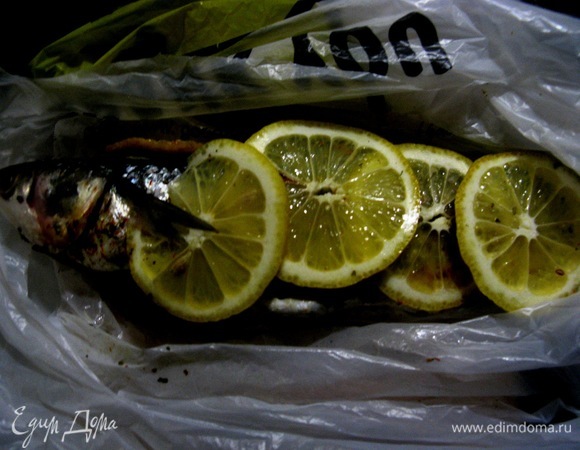 Натираем рыбку и маринуем лимонами и лаймом, маринуем в соке, укутываем и отправляем в холодильник на сутки.