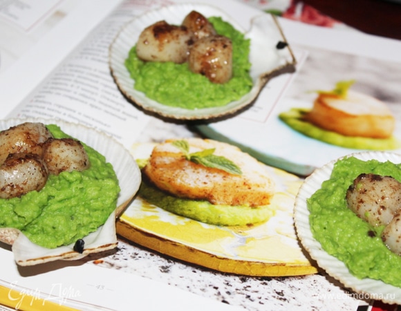 Подать гребешки на пюре из горошка.