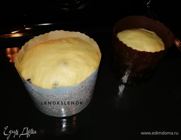 Дать тесту подняться (около 30 минут). Поставить в разогретую до 180°C духовку, выпекать 30 минут.