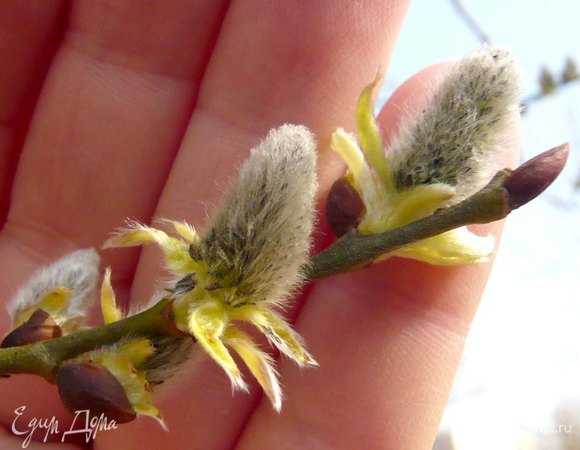 Хороших выходных!