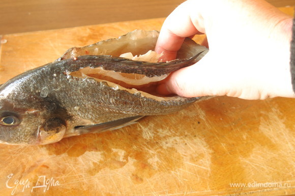 Рыбу чистим, вырезаем хребет, отрезаем его ножницами, оставив кусочек хвостика.