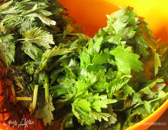 Промываем крапиву, снимаем верхушки и листья. Всего с двух пучков получилось 186 г.