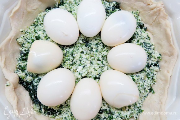 На шпинатную начинку выкладываем по кругу вареные яйца, чуть вдавливая их в начинку.